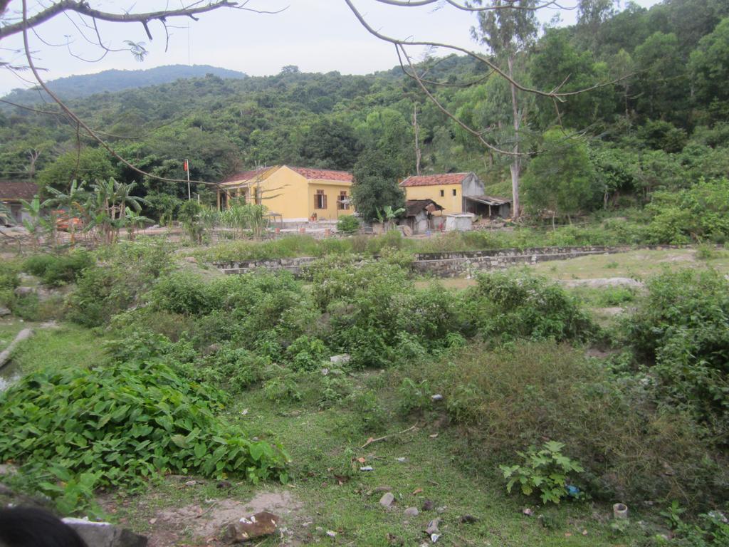 Bai Huong Cu Lao Cham Homestay Tân Hiệ Exteriör bild